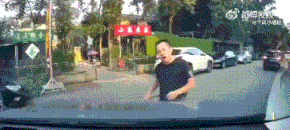 16.gif