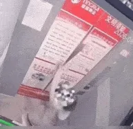 23.webp