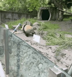 08.gif