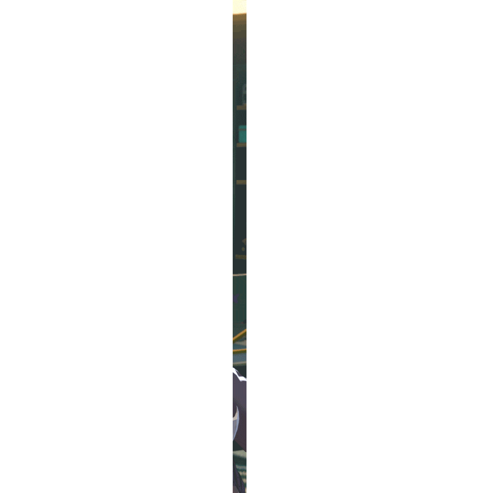13.gif