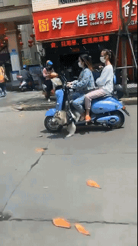 18.gif