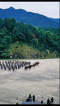 22.gif