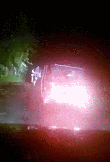 12.gif