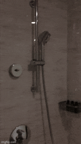 21.gif