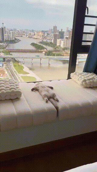 13.gif