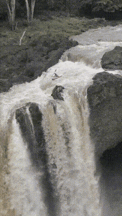 10.gif