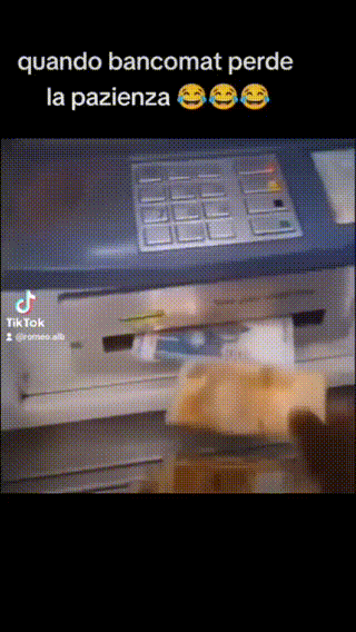 12.gif