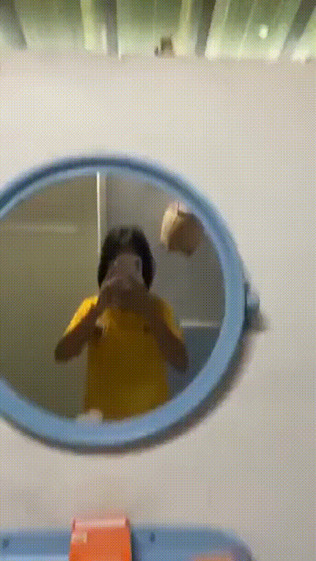 20.gif