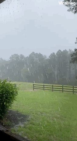 15.gif