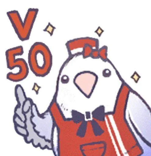 vwo50.webp