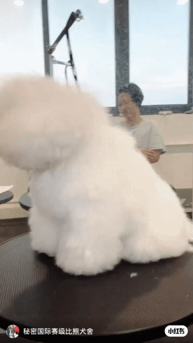 12.gif