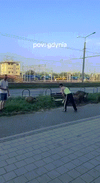 02.gif