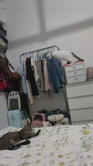 12.gif
