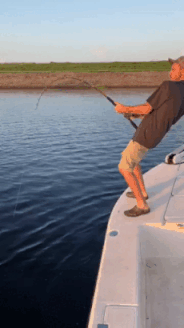 17.gif