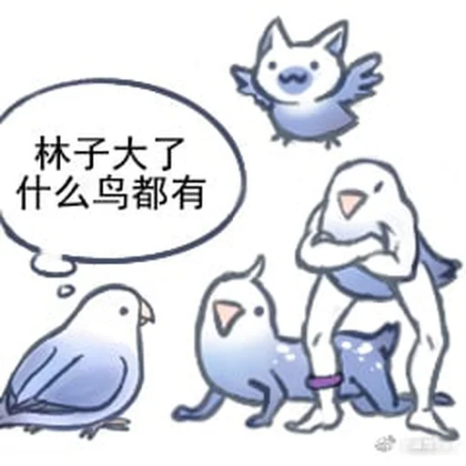 什么鸟都有.webp