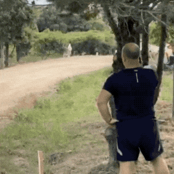 23.gif
