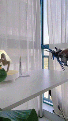 16.gif