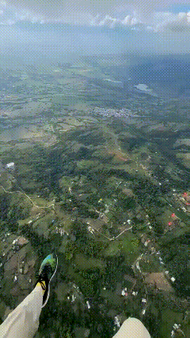 15.gif
