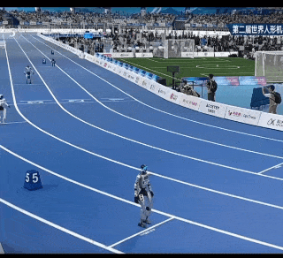 15.gif