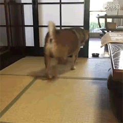 04.gif