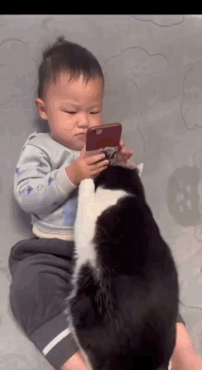 14.gif