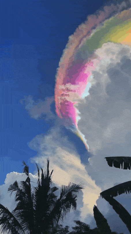 14.gif